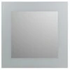 Plieger Spiegel Zandstraalkader Zilver 60x60 Cm -Badkamer Winkel 123 4018