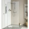 Sealskin Inloopdouche Style 98x195 Cm 1 Sealskin Inloopdouche Style 98x195 Cm -Badkamer Winkel 123 5271