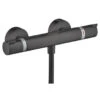 Hansgrohe Thermostatische Douchekraan EcoStat Comfort Zwart -Badkamer Winkel 123 558