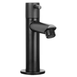 Differnz Fonteinkraan Recht Mat Zwart -Badkamer Winkel 123 8515