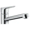 Hansgrohe Keukenkraan Focus M43 Met Hendel Chroom 100 -Badkamer Winkel 123 8820