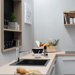 Hansgrohe Keukenkraan Focus M43 Met Hendel RVS 120 -Badkamer Winkel 123 225